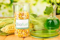Noctorum biofuel availability