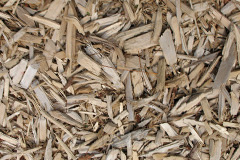 biomass boilers Noctorum